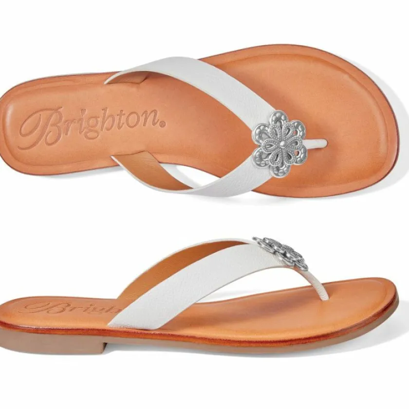 Brighton Aster Flower Thongs Outlet