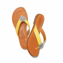 Brighton Aster Flower Thongs Outlet