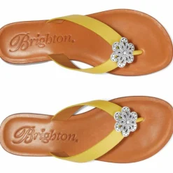 Brighton Aster Flower Thongs Outlet