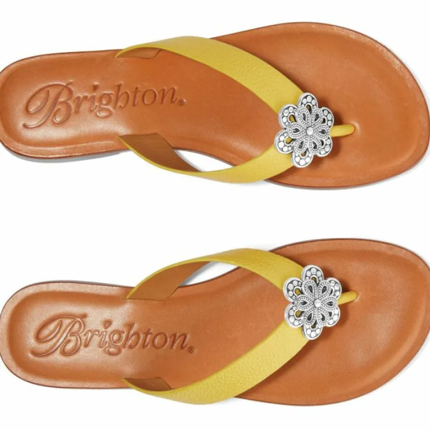 Brighton Aster Flower Thongs Outlet