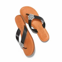 Brighton Aster Flower Thongs Outlet