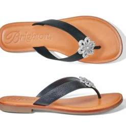 Brighton Aster Flower Thongs Outlet