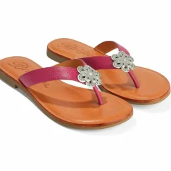 Brighton Aster Flower Thongs Outlet