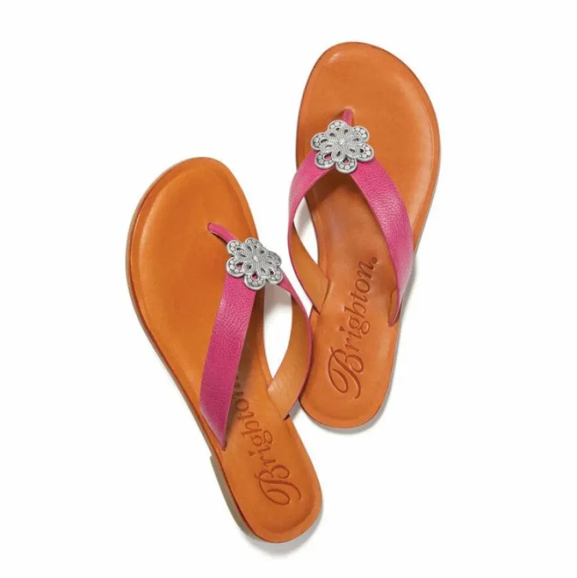 Brighton Aster Flower Thongs Outlet