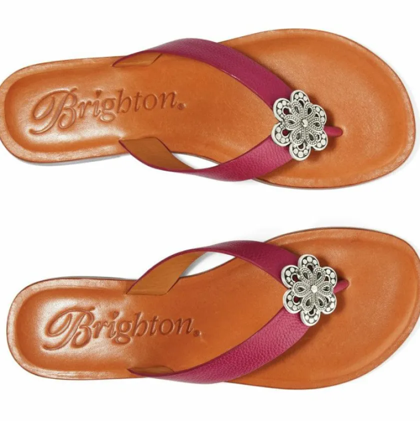 Brighton Aster Flower Thongs Outlet