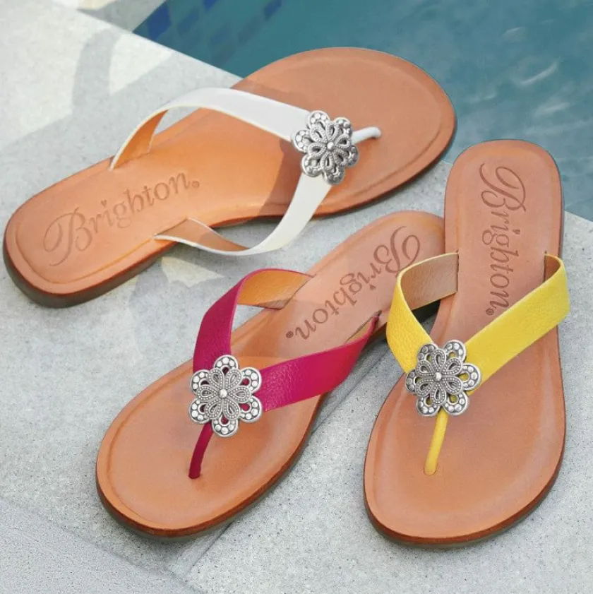 Brighton Aster Flower Thongs Outlet