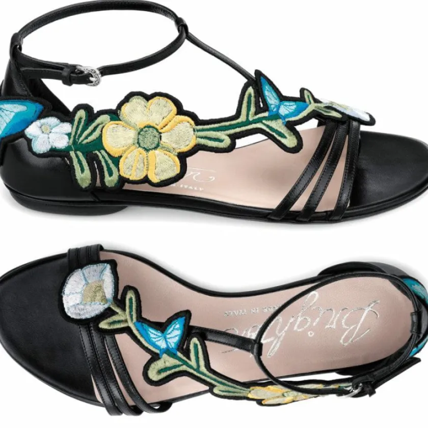Brighton Canopy Sandals Multi Best
