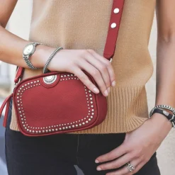 Brighton Perry Mini Camera Bag New