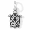 Brighton Pismo Turtle Charm Silver Best