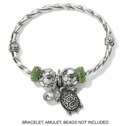 Brighton Pismo Turtle Charm Silver Best