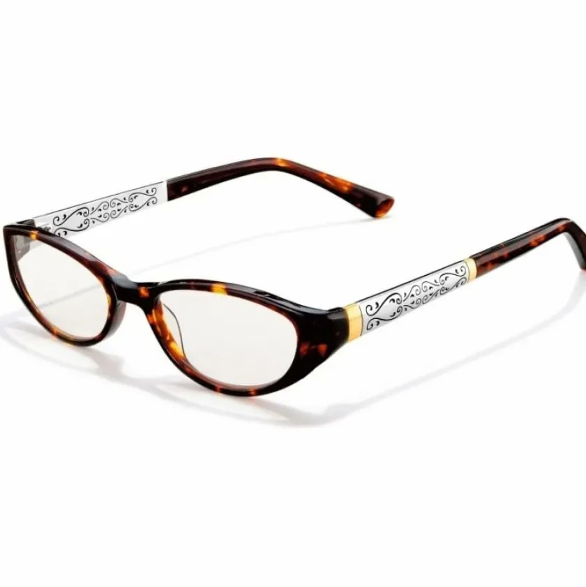Brighton Venezia Readers Tortoise New