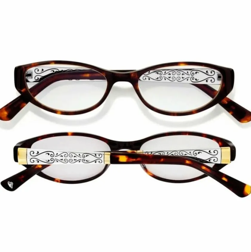 Brighton Venezia Readers Tortoise New