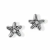 Brighton Wild Flowers Post Earrings Silver New